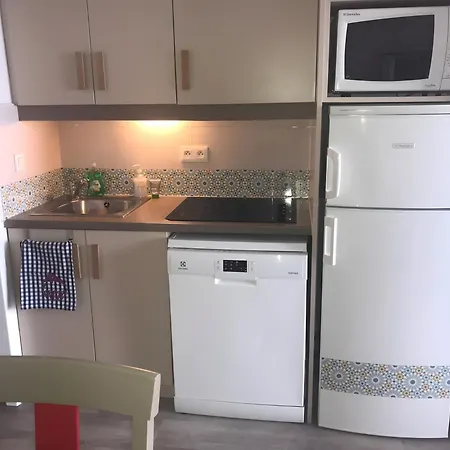 Palm D'azur Standing Presta *