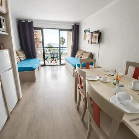 Daire Palm D'azur Standing Presta *