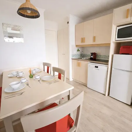Palm D'azur Standing Presta *
