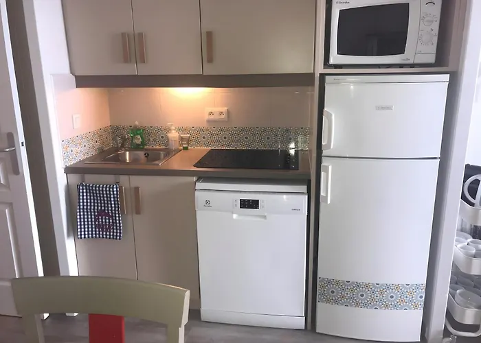 Palm D'azur Standing Presta *